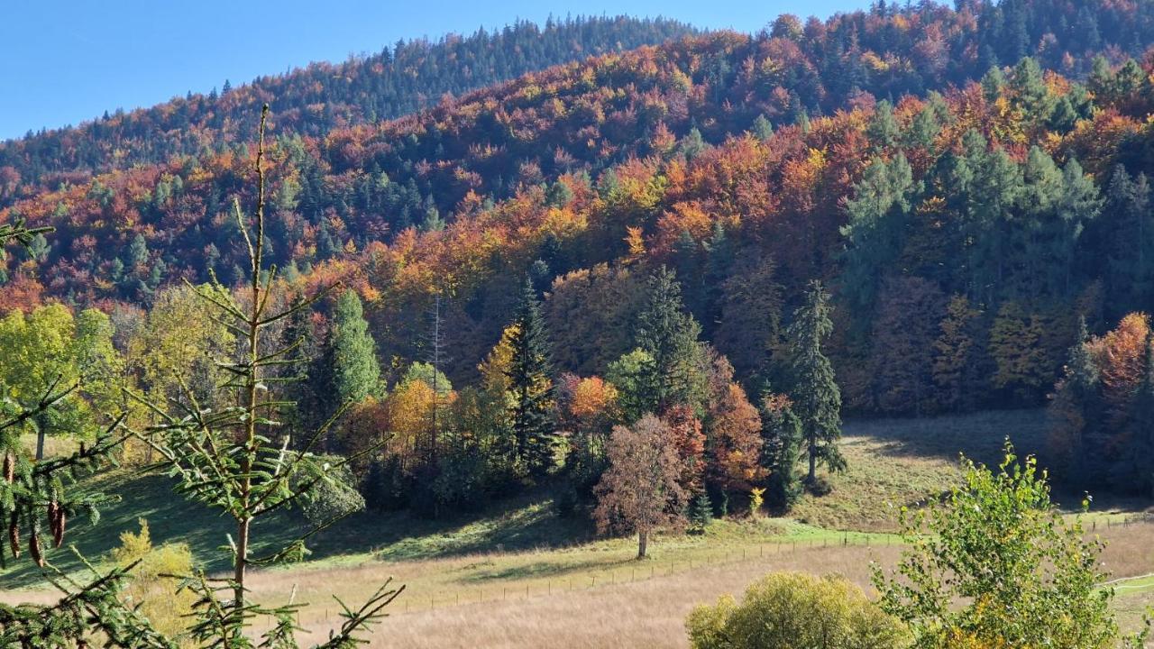 Akra Lägenhet Zakopane Exteriör bild