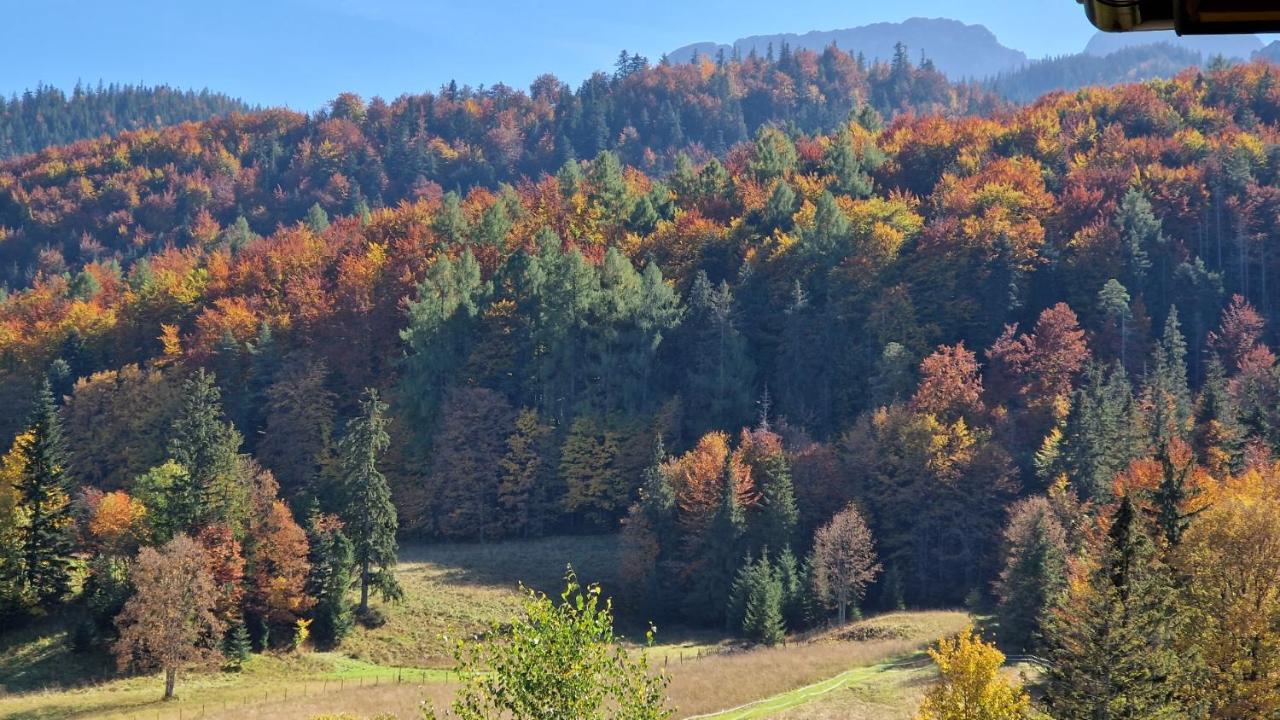Akra Lägenhet Zakopane Exteriör bild