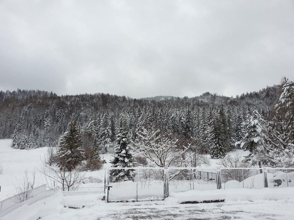 Akra Lägenhet Zakopane Exteriör bild